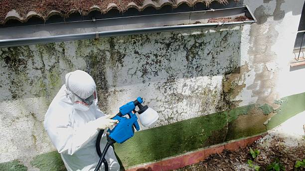 Trusted Attic Mold Removal service in Penfield, PA - Cheap Mold Removal